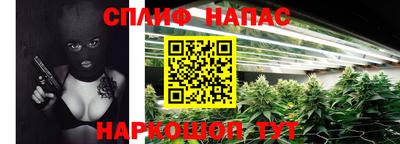 МДПВ Пенза