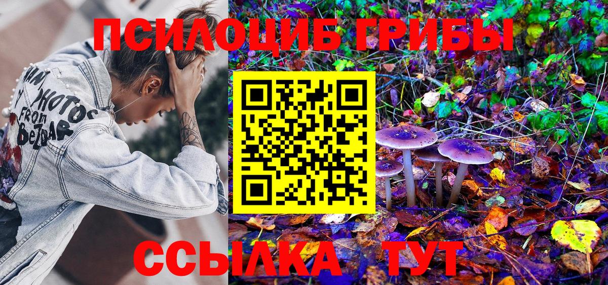 Галлюциногенные грибы мухоморы Светлоград