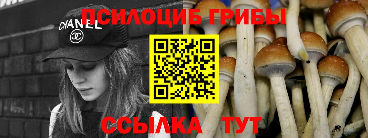 Галлюциногенные грибы Psilocybe  Вход с VPN  Псилоцибиновые грибы Psilocybine cubensis  Светлоград 